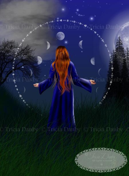 Moon Witch by Tricia Danby
